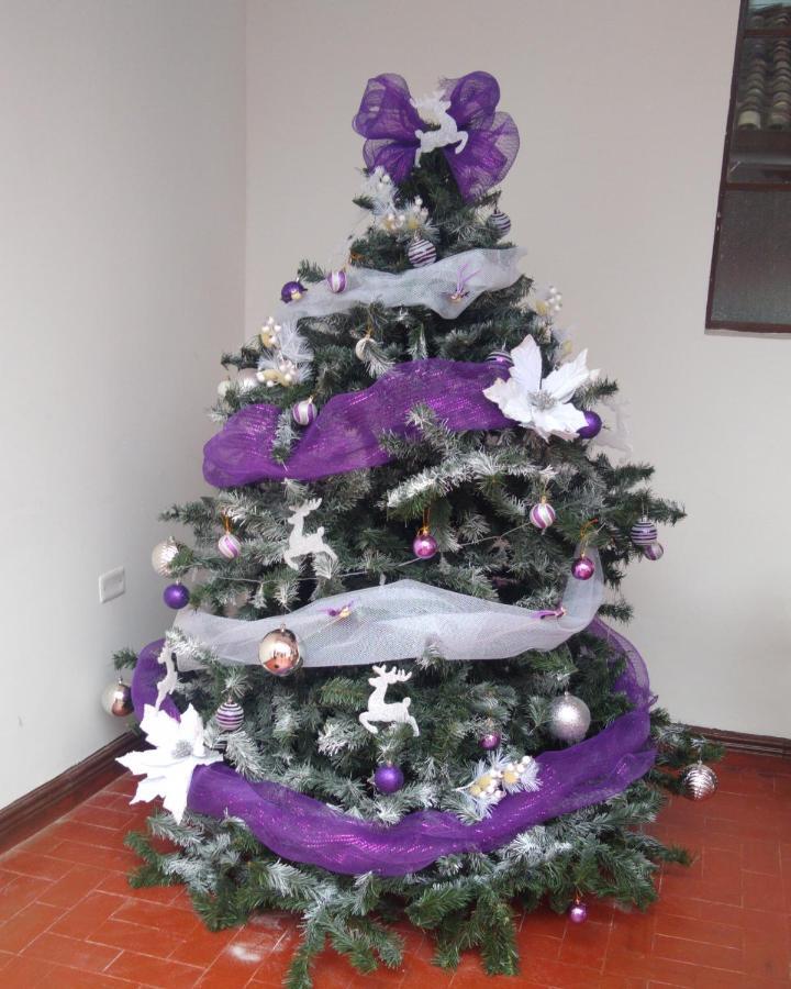 Hostel El Jardin Popayan Esterno foto